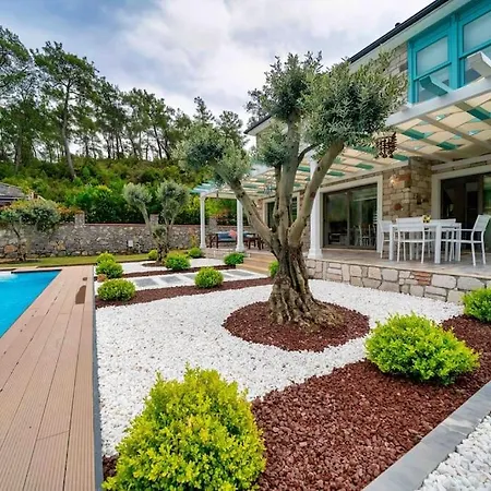 Mavi Zeytin Holiday home Fethiye