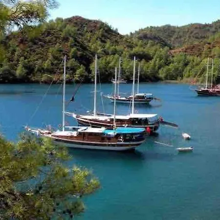 Mavi Zeytin Holiday home *